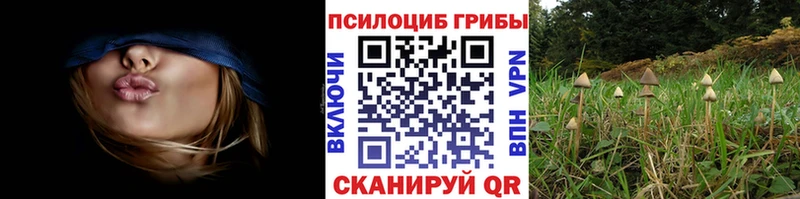 цена наркотик  Ясногорск  Галлюциногенные грибы мицелий 